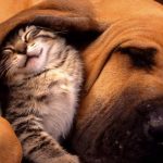 energyandco.net-tutela-utenti