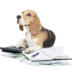 energyandco.net-bollette